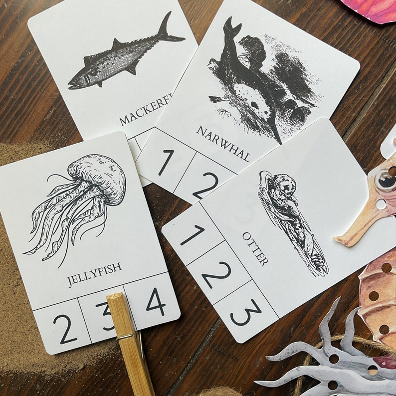 Op de afbeelding: Een set zwart-wit geillustreerde kaarten met verschillende zeedieren, waaronder een kwal, een makreel, een narwal en een otter. Elke kaart heeft een nummerrooster met de nummers 1, 2, 3 en 4.