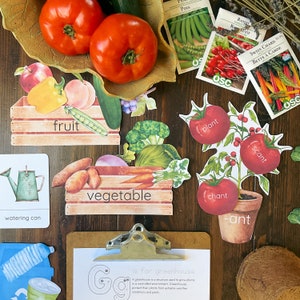 May include: A set of educational flashcards for children featuring colourful illustrations of fruits, vegetables, and a plant with tomatoes. The cards have the words "fruit", "vegetable", "plant", "chant", "scant", and "ant" written on them. There is also a watering can, a blue water bottle, and a piece of paper with the letter "G" and the words "is for greenhouse" written on it.