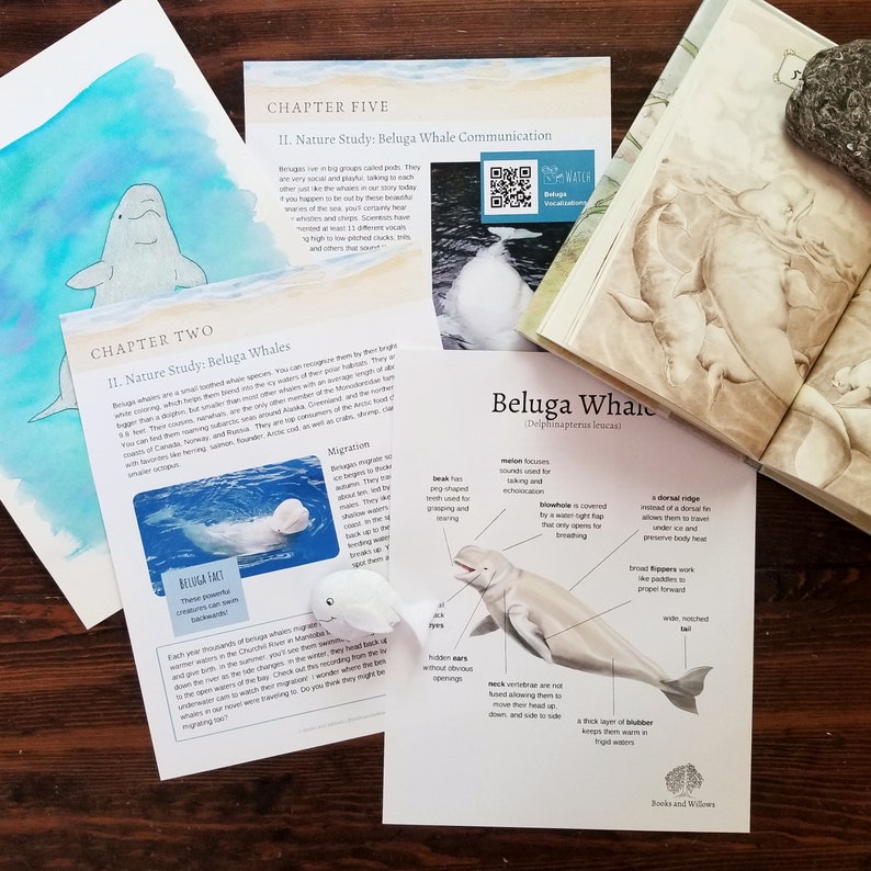 Family Literature and Activity Guide inspired by The Lighthouse Family: The Whale Homeschool Lesson Nature Study Summer Reading image 2