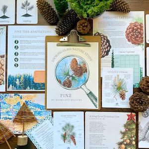 May include: A nature study guide for pine trees with illustrations of pine cones, needles, and a magnifying glass. The guide includes information about pine tree adaptations, a pine cone experiment, and the life cycle of a pinecone. The text includes the words "Looking Glass Nature Study" and "Pine by Books and Willows".