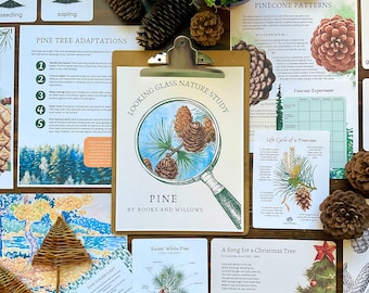 Dennennatuurstudie: kerst-homeschoolcurriculum (pdf-download)