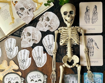 Skeleton Early Learning Unit | Morning Basket | Preschool & Kindergarten Activities