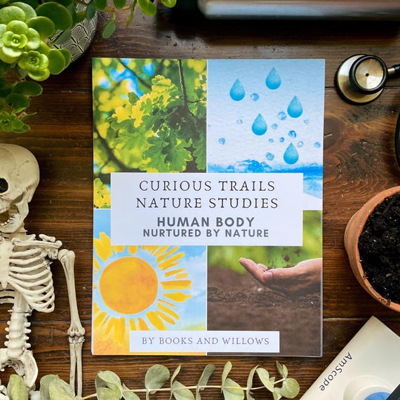Human Body Unit Study: Curious Trails Homeschool Curriculum (PDF Download)