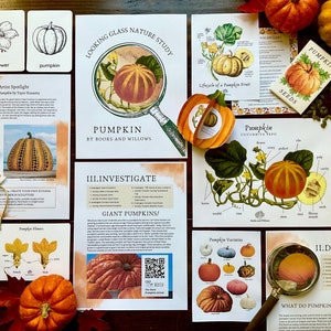 Pumpkin Unit - Looking Glass Nature Study | Pumpkin Unit Study | Fall Unit | Homeschool Printable