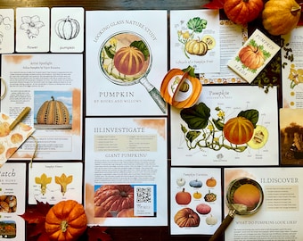 Pumpkin Unit - Looking Glass Nature Study | Pumpkin Unit Study | Fall Unit | Homeschool Printable