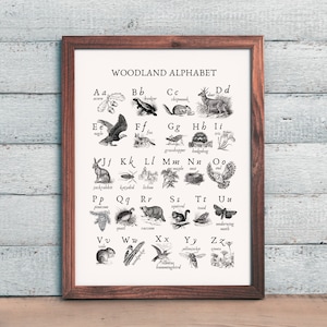 Waldland Alphabet Druck | ABC Poster | Waldkindergarten | Hausschule Natur zum Ausdrucken