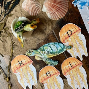 Op de afbeelding: Een set kleurrijke kwallen-vormige kaarten met de letters 'k', 'e', 'l', 'p' erop gedrukt. De kaarten worden omringd door een zeeschildpad, schelpen en zeewier.