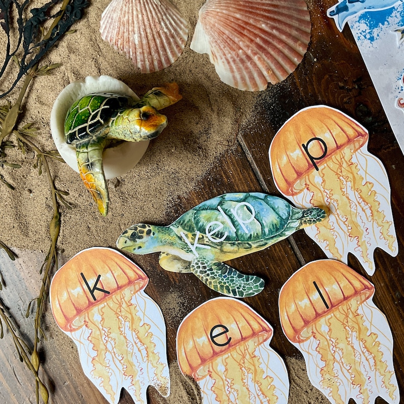 Op de afbeelding: Een set kleurrijke kwallen-vormige kaarten met de letters 'k', 'e', 'l', 'p' erop gedrukt. De kaarten worden omringd door een zeeschildpad, schelpen en zeewier.