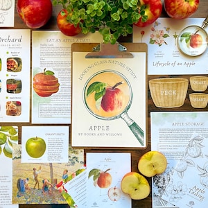 Apple Nature Study: programma di homeschooling autunnale (download PDF)