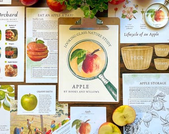 Apple Nature Study: programma di homeschooling autunnale (download PDF)