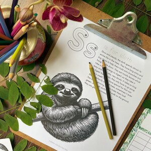 May include: Black and white illustration of a sloth hanging from a tree branch. The illustration is part of a printable alphabet learning sheet with the letter 'S' and the word 'sloth' with a description of the animal.