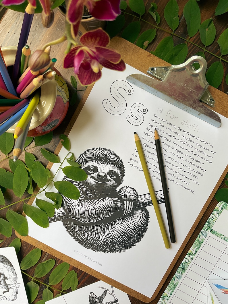May include: Black and white illustration of a sloth hanging from a tree branch. The illustration is part of a printable alphabet learning sheet with the letter 'S' and the word 'sloth' with a description of the animal.