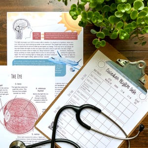 May include: A printable circadian rhythm data chart with a stethoscope and a diagram of the human eye. The chart has sections for recording body temperature, heart rate, alertness, and time of day. The eye diagram shows the lens, vitreous humor, and retina.