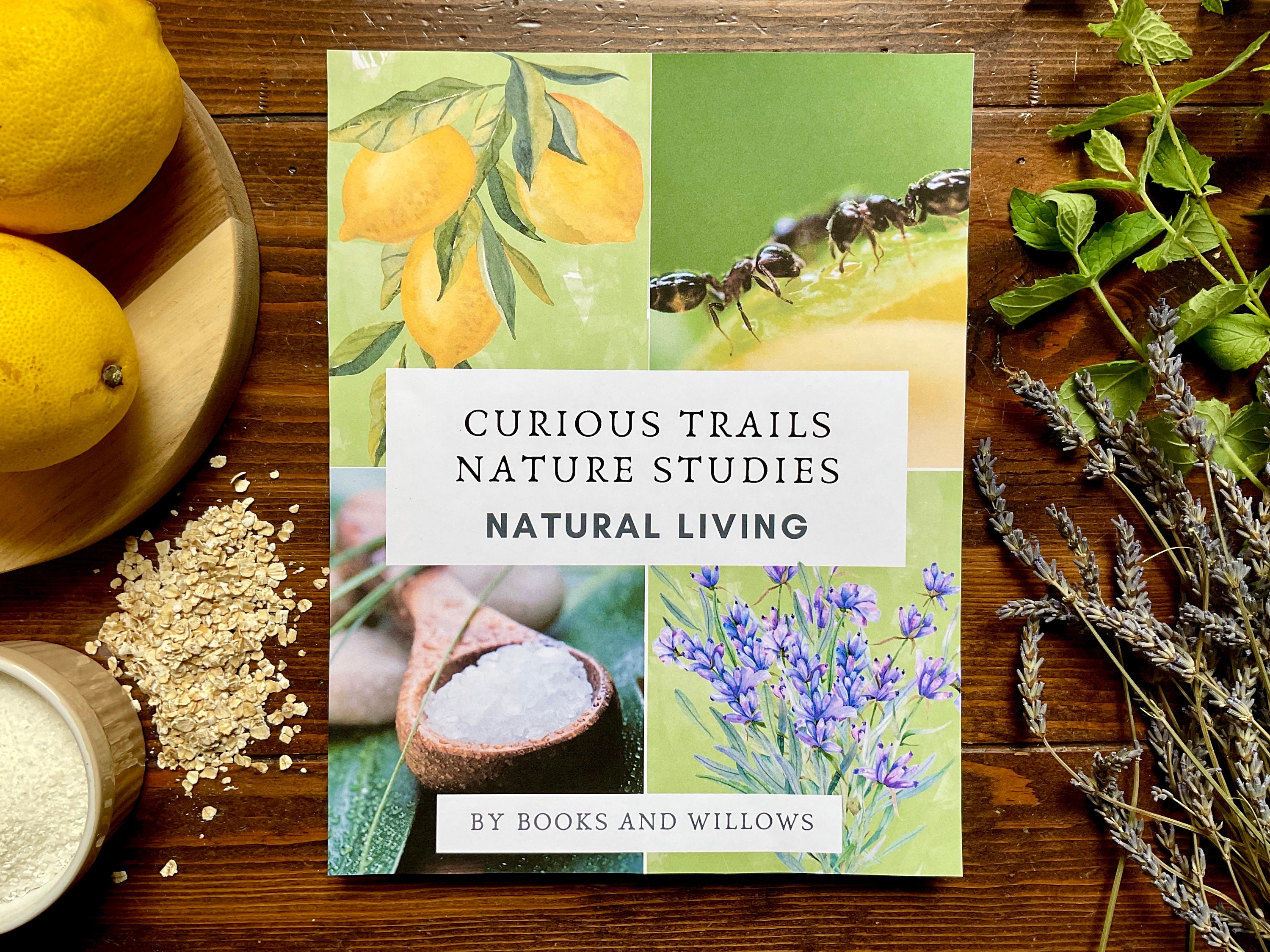 Natural Living Guide - Curious Trails Nature Study | Homeschool Curriculum