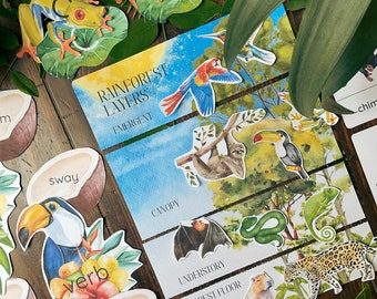 Rainforest Early Learning Unit: Preschool & Kindergarten Activities (PDF Download)
