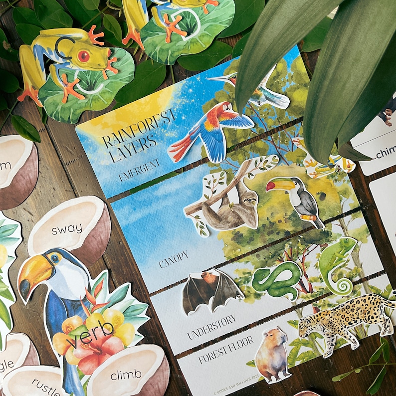 May include: A colorful educational game for kids about the rainforest layers. The game features illustrations of animals, plants, and words like 'emergent', 'canopy', 'understory', and 'forest floor'.