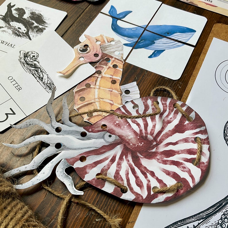Op de afbeelding: Een set van vier papieren zeedieren met gaten om te rijgen. De zeedieren omvatten een zeepaardje, een nautilus, een octopus en een walvis. De zeedieren zijn bedrukt met aquarelachtige illustraties.