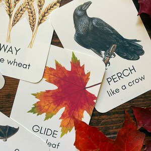 May include: Cards with illustrations of wheat, a raven, and a maple leaf, with text including "WAY," "PERCH," and "GLIDE." The cards are on a wooden surface, with red and brown leaves scattered around.