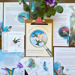 Hummingbird Unit - Looking Glass Nature Study | Anatomy Life Cycle Adaptations | Summer Unit | Homeschool Printable