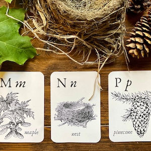 Flashcards de l'alphabet de la nature boisée | Préscolaire | Impression manuscrite