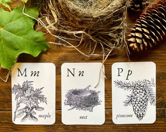 Woodland Nature Alphabet Flashcards | Preschool | Manuscript Print