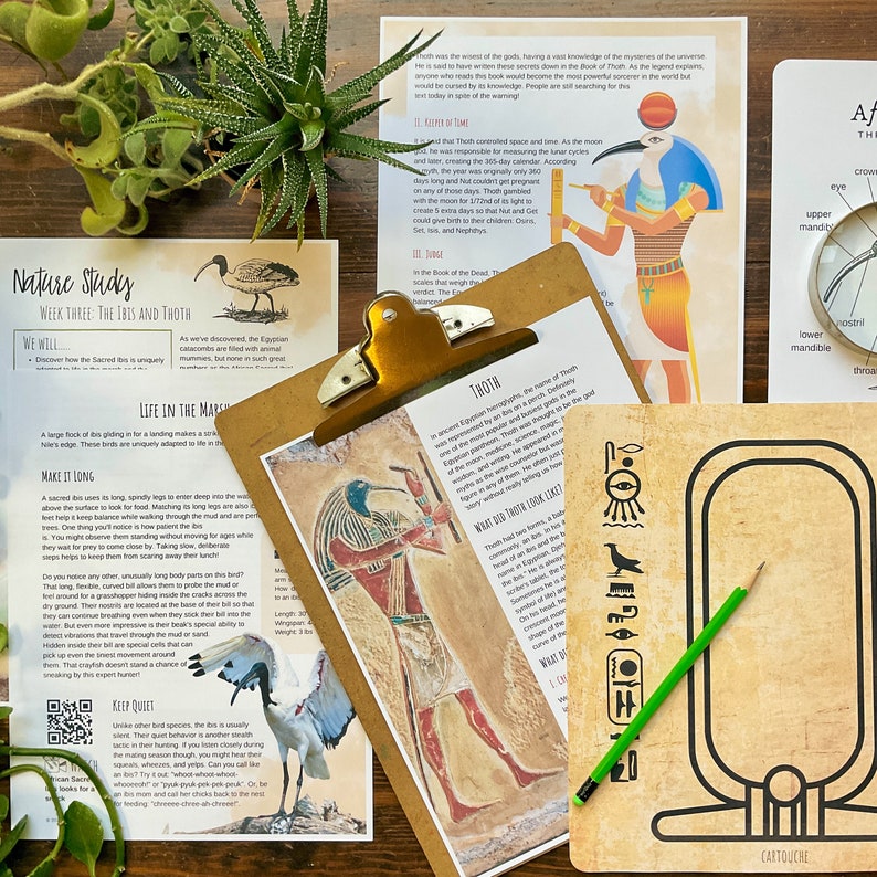 May include: A nature study worksheet with a colorful illustration of the Egyptian god Thoth, who is depicted as a man with the head of an ibis bird. The worksheet includes information about Thoth's role in Egyptian mythology, including his association with wisdom, magic, and writing. The worksheet also includes a section on the ibis bird, with a QR code for additional information.