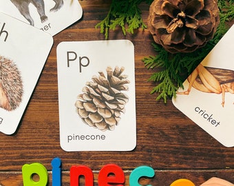 Forest Alphabet Cards | Montessori | Homeschool Preschool