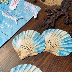 Op de afbeelding: Twee blauwe en beige schelpvormige kaarten met de woorden "push" en "pull" erop gedrukt.