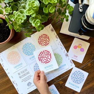 May include: A set of colorful cards with illustrations of different types of bacteria, labeled with their names and descriptions. The cards are part of a learning game about the human microbiome. The text on the cards reads "My Healthy Microbiome", "Can you find and tell all your microbiome with each type of healthy bacteria?" and "Books and Willows".