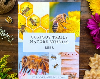 Honey Bee Unit Study - Curious Trails | Homeschool Printable | Nature Study | Charlotte Mason | STEM