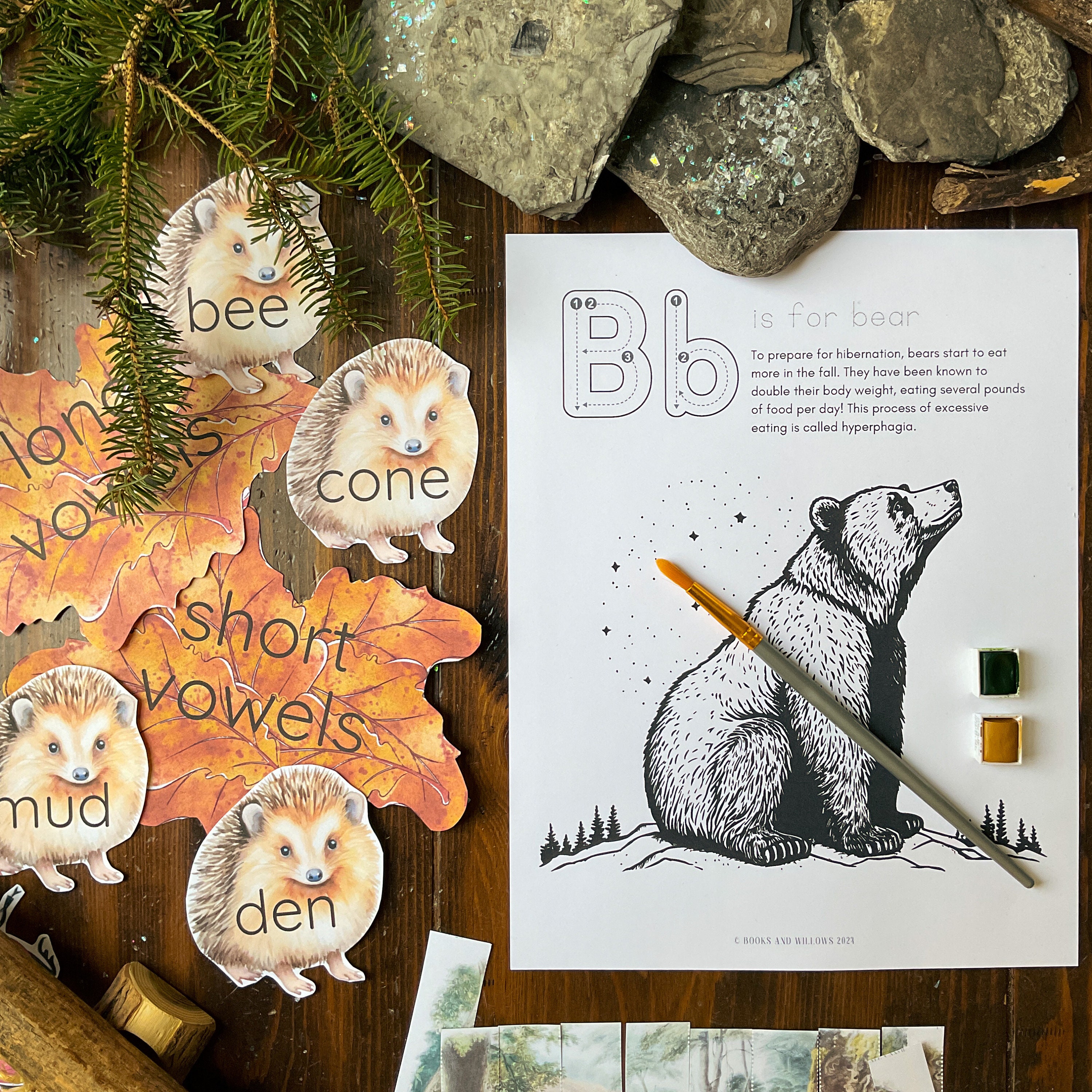 Hibernation Early Learning Unit | Winter Homeschool | Preschool Unit | Montessori | Kindergarten