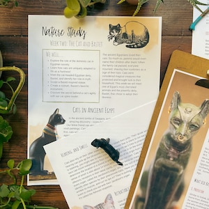 May include: A colorful educational worksheet about cats in ancient Egypt. The worksheet features illustrations of cats, a cat-headed deity, and a sistrum. The text discusses the role of cats in Egyptian society, their unique adaptations, and the deity Bastet.