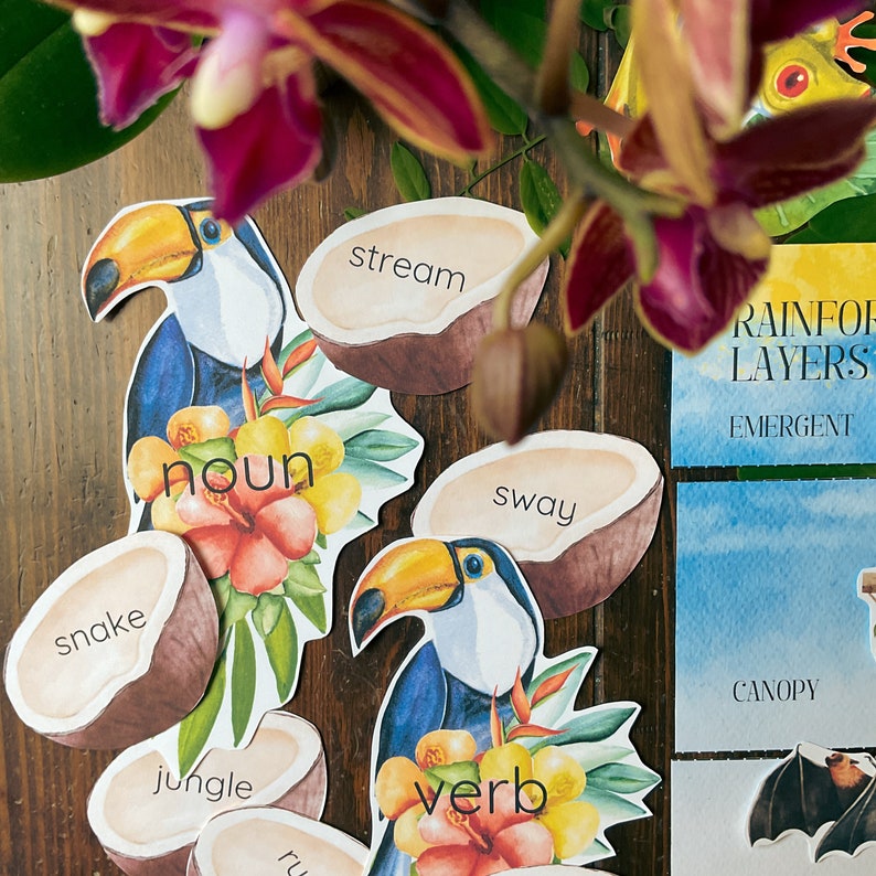 May include: A set of colorful educational flashcards featuring toucans, coconuts, and tropical plants. The cards include words like "noun", "verb", "stream", "sway", "snake", and "jungle".