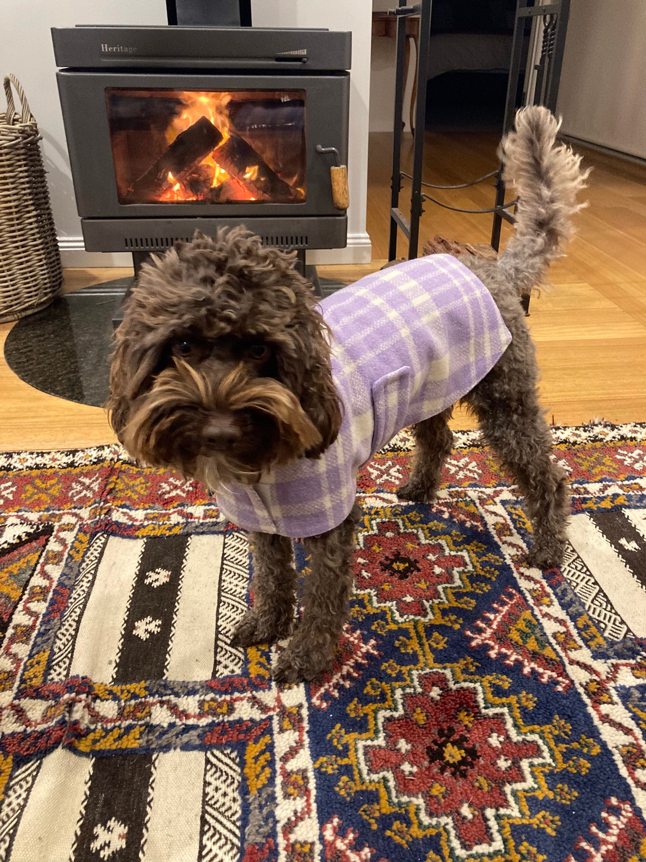 Dog coats wool dog coat doggy coat sustainable dog coats Etsy