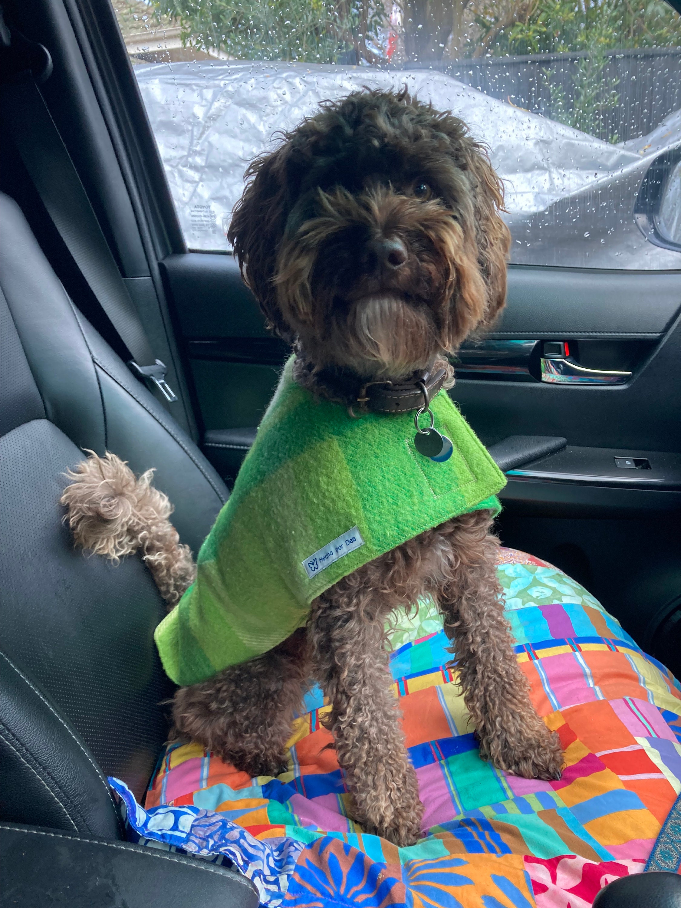 Dog coats wool dog coat doggy coat sustainable dog coats Etsy