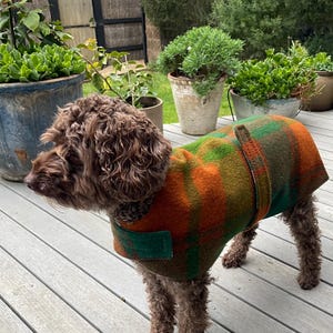 Puede incluir: Un perro de pelaje marrón rizado lleva puesto un abrigo grueso a cuadros con un patrón llamativo de cuadrados en verde bosque y naranja quemado. El abrigo cuenta con un cuello estructurado y una correa vertical en la espalda.