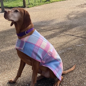 Dog Coats, Wool Dog Coat, Sustainable Dog Coats, Recycled Wool