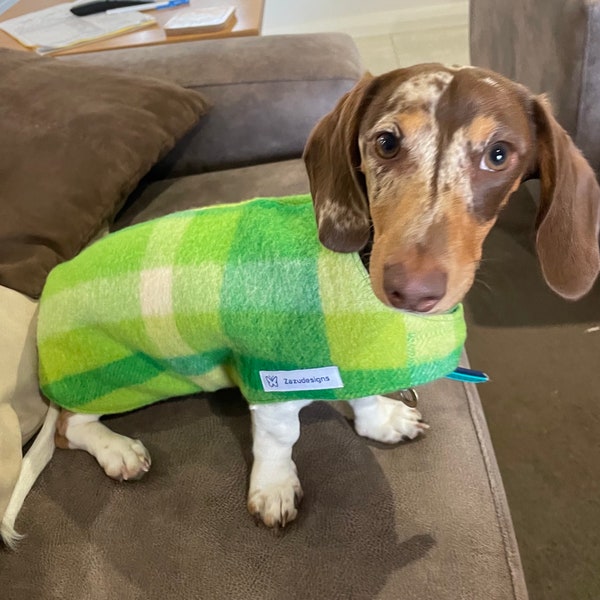 Manteaux pour chien teckel, manteau pour chien en laine, manteaux pour chien durables, laine recyclée, chauffe-hiver pour chien, manteau pour chien respectueux de l'environnement