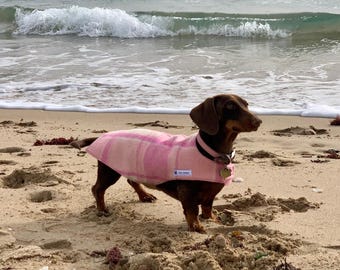 Dachshund dog coats, wool dog coat, sustainable dog coats, recycled wool, dog winter warmers, eco friendly dog coat, bespoke