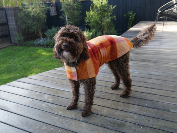 Dog Coats Wool Dog Coat Sustainable Dog Coats Recycled Wool