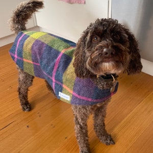 Dog coats, wool dog coat, sustainable dog coats, recycled wool, dog winter warmers, eco friendly dog coat