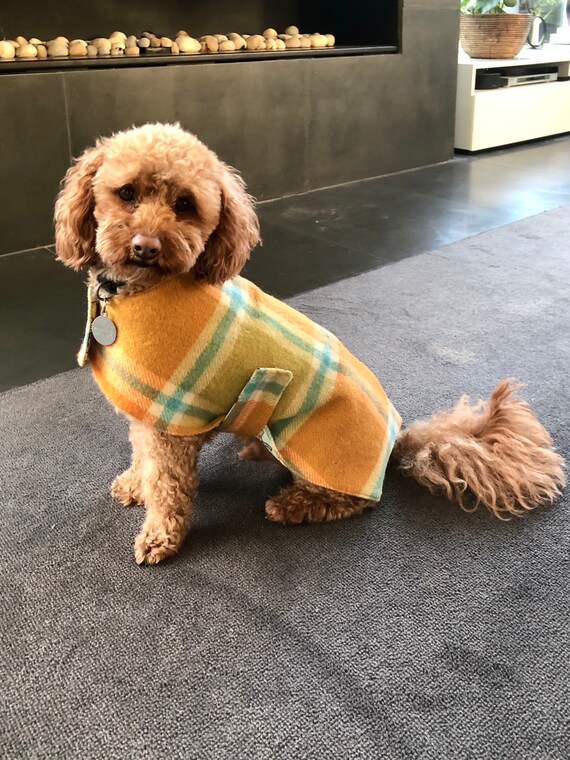 Dog Coats Wool Dog Coat Sustainable Dog Coats Recycled Etsy