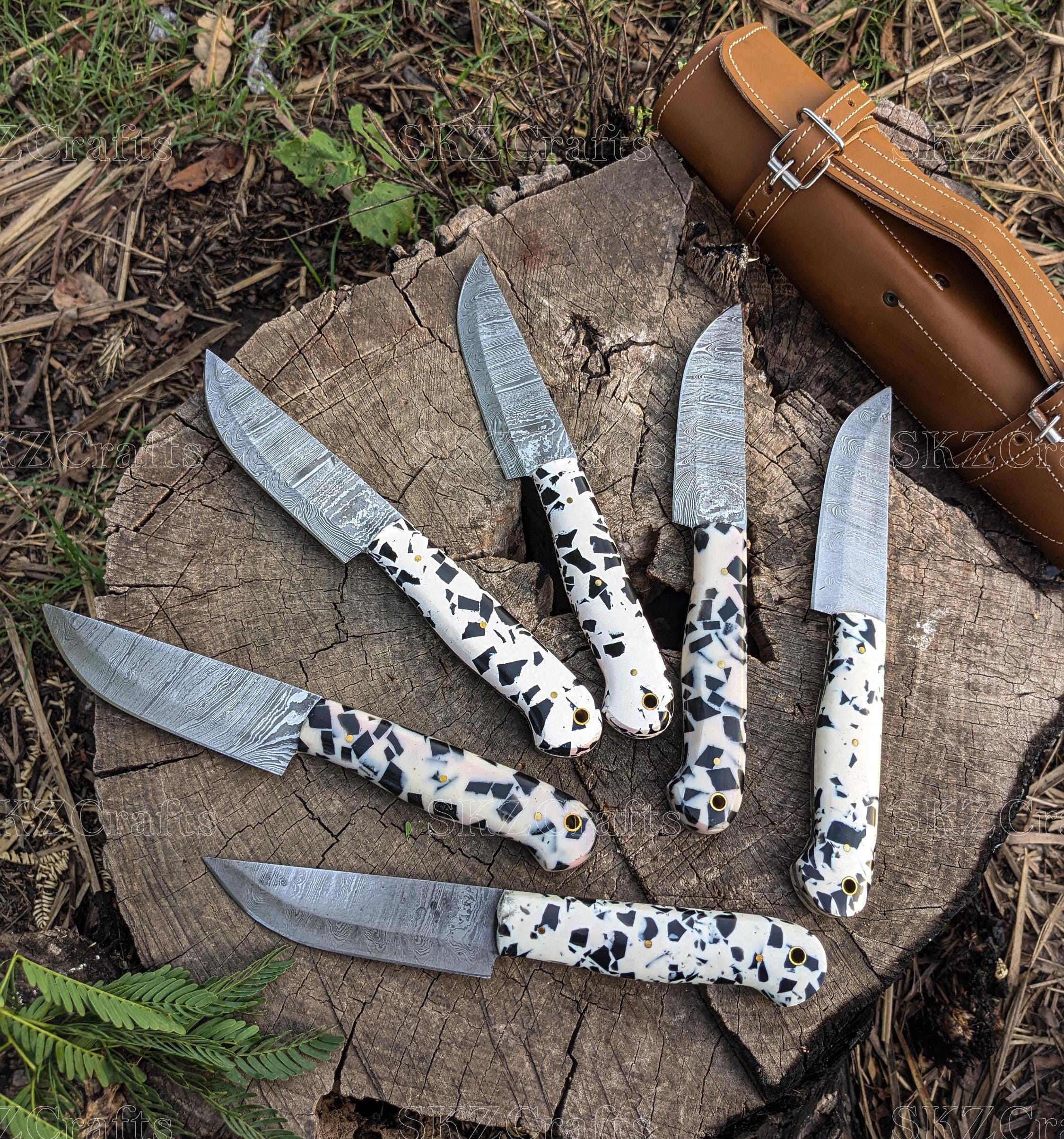 Handmade Damascus Steel Steak Knives Set - Resin Handle, Sharp Edge