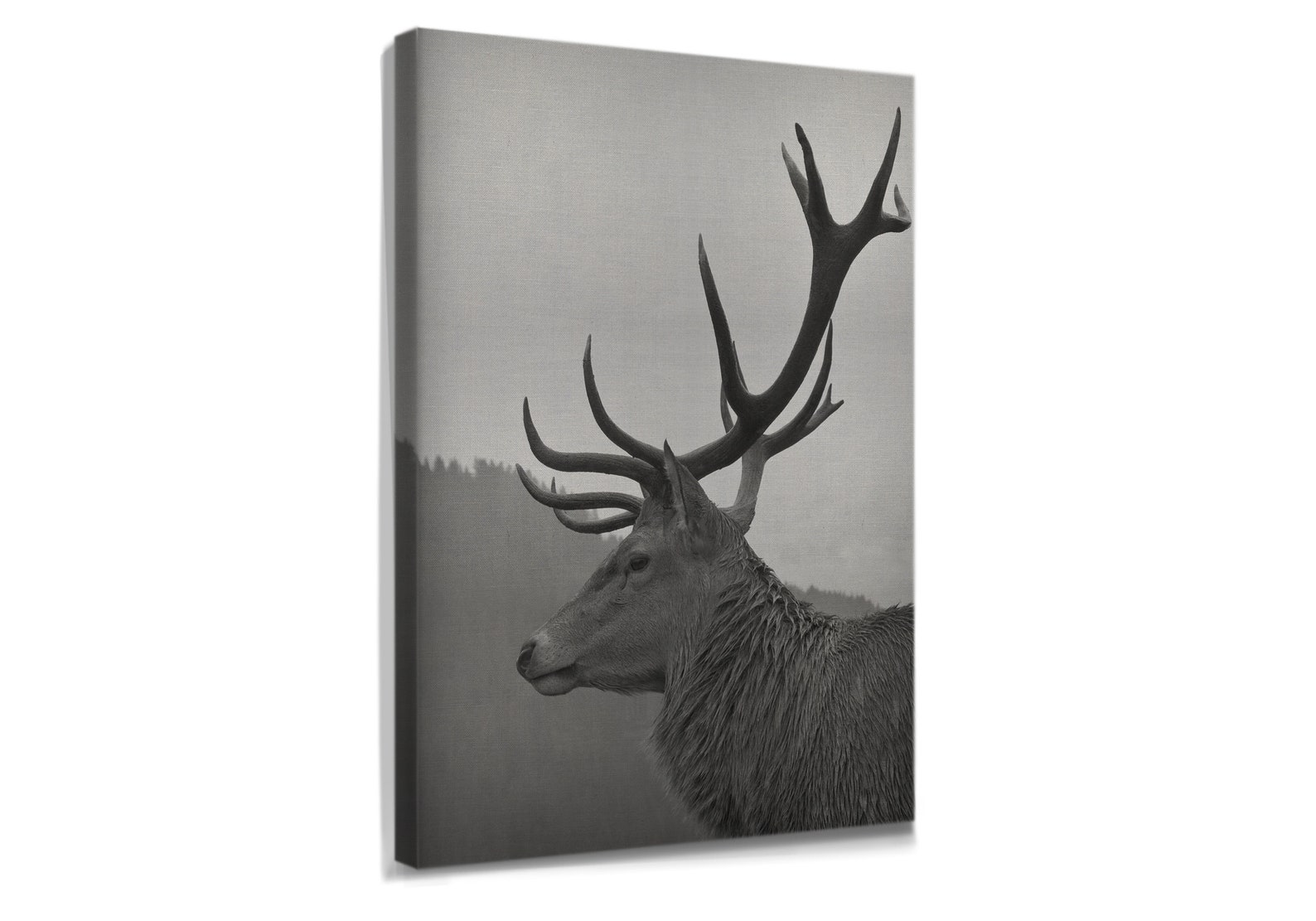 Animal Wall Art Deer Black And White Canvas / Home & Room | Etsy