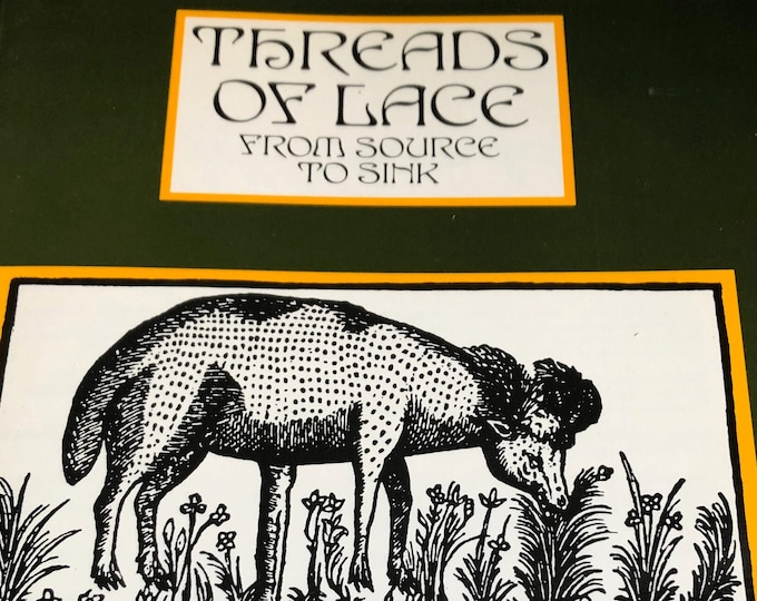 lacemaking book - threads of lace from source to sink by Pat Earnshaw