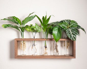 Extra Large Propagation Station with 2 Hooks - Hang or Stand - 5  or 10 glass tubes 2'' wide - Set in a Dark or Light Stained Wooden Frame