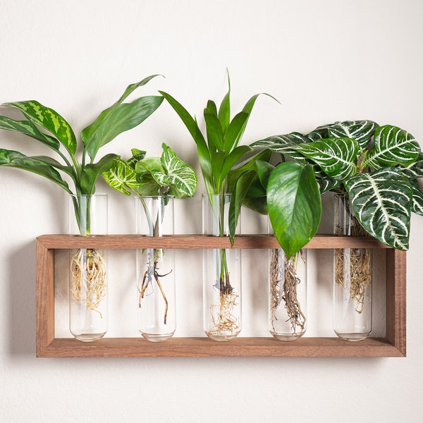 Extra Large Propagation Station with 2 Hooks - Hang or Stand - 5  or 10 glass tubes 2'' wide - Set in a Dark or Light Stained Wooden Frame