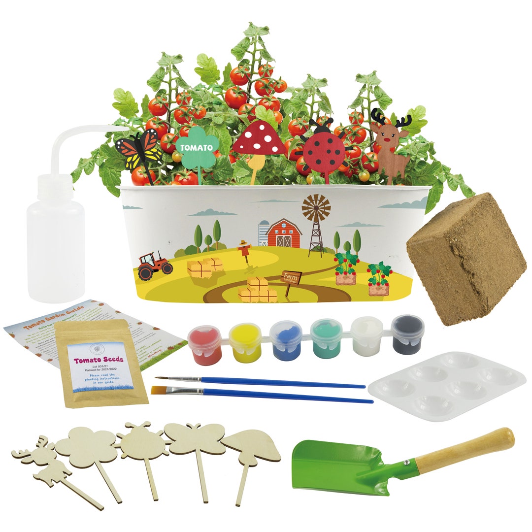 Grow Margo DIY Tomato Growing Kit With Seeds for Girls Boys Etsy