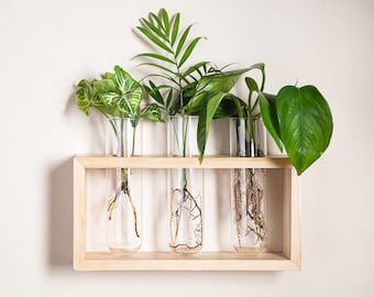 Hanging Propagation Station Can Stand on it’s Own Water Propagation Pick a Size Hydroponic station 7 Vial • 5 Vial • 3 Vial Hanging Propagation Station Can Stand on it’s Own Water Propagation Pick a Size Hydroponic station 7 Vial • 5 Vial • 3 Vial