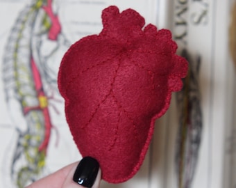 May include: A red felt heart with stitched details. The heart is held in a hand against a background of a medical illustration.